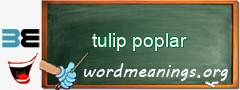 WordMeaning blackboard for tulip poplar